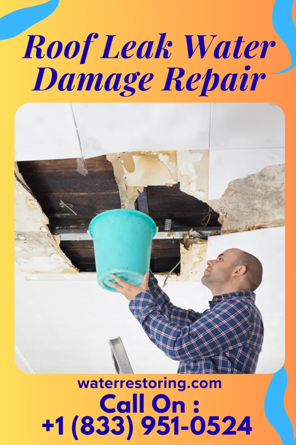 Roof Leak Water Damage Repair in Inkom, ID